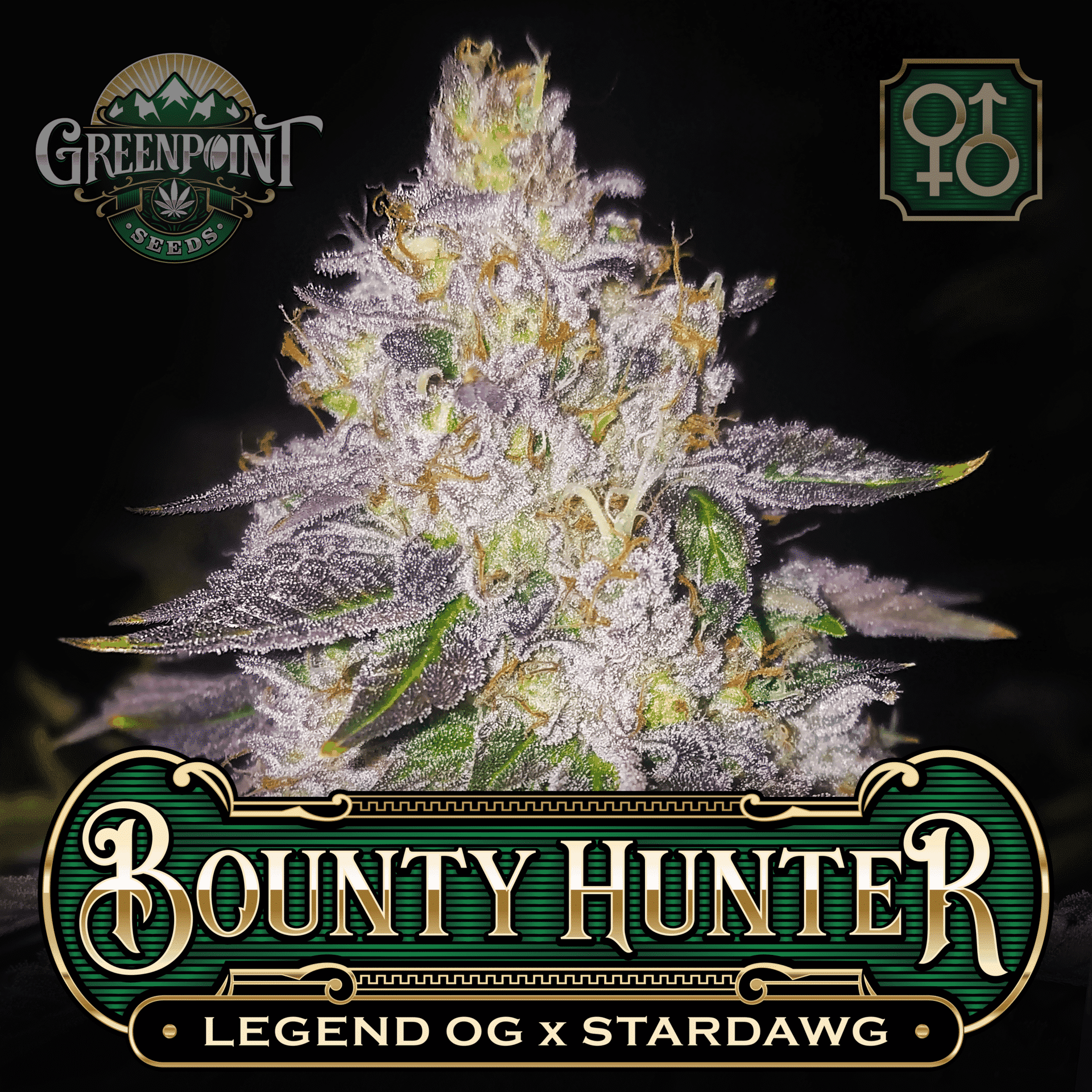 Foto de la variedad Bounty Hunter
