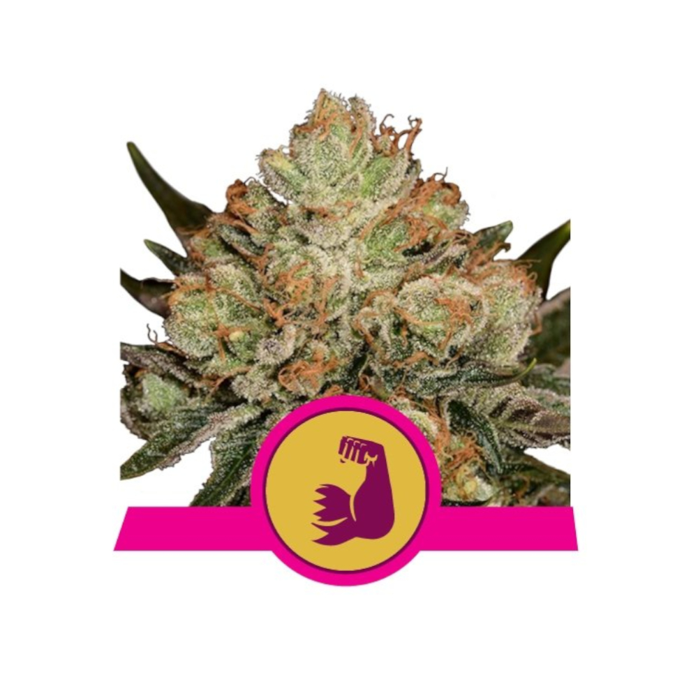 Foto de la variedad Hulkberry