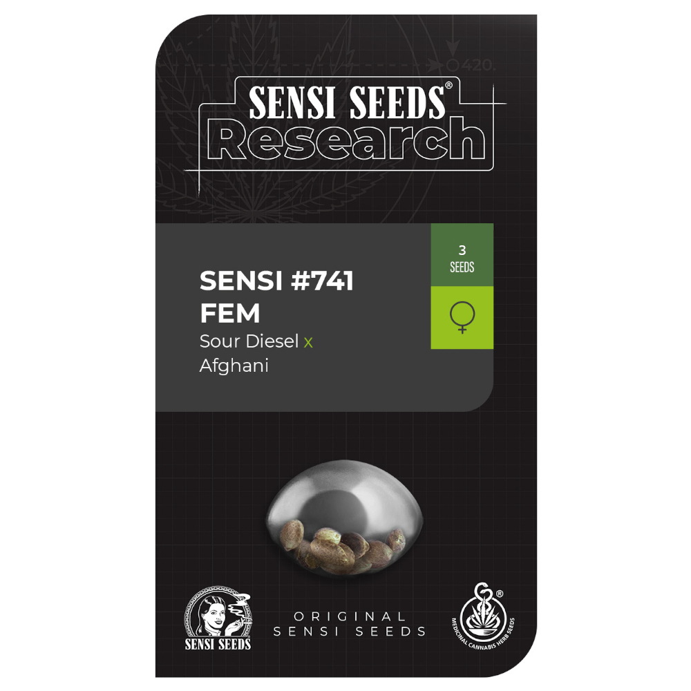 Foto de la variedad Sensi #741